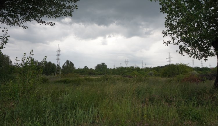 Dsc09414 1