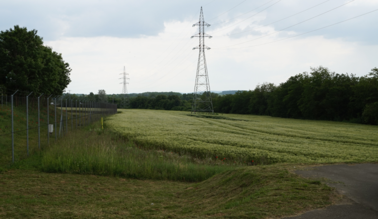 Dsc09392 1